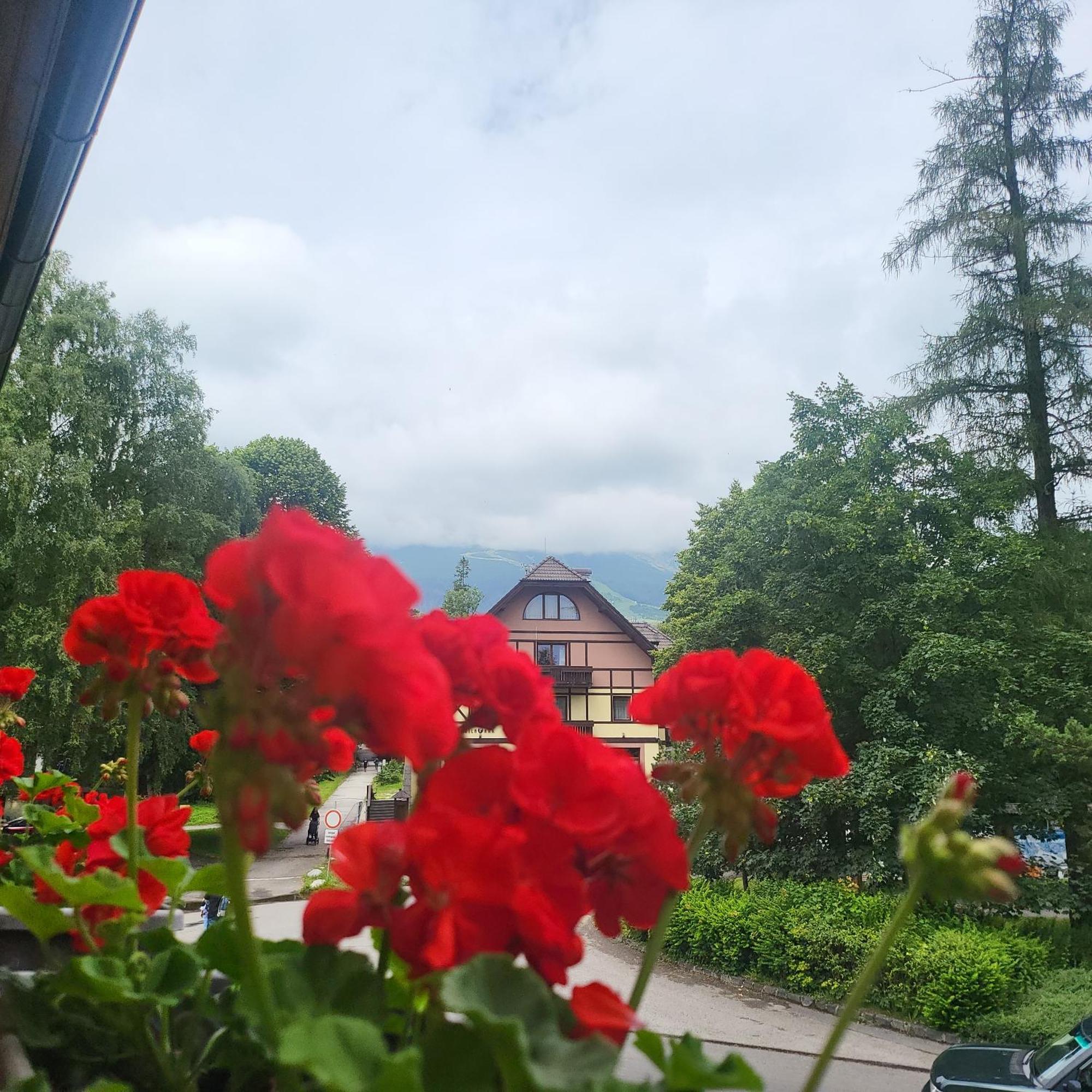 Penzion Slalom Tatranská Lomnica Exterior foto
